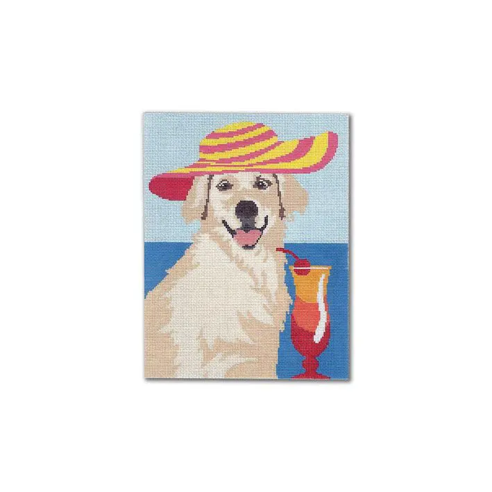 A golden retriever, named Cecilia, wearing a hat with a drink Ohm the beach.