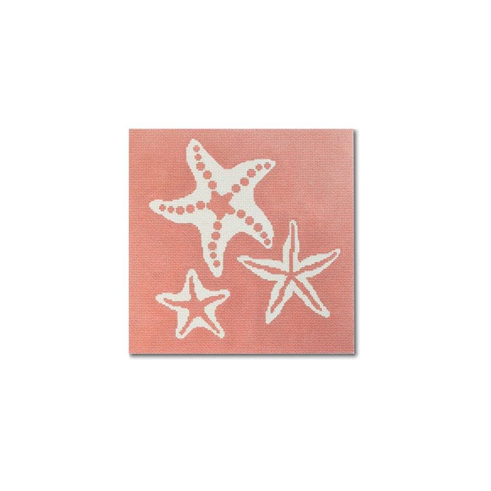 A pink and white starfish on a white background captured by Cecilia.