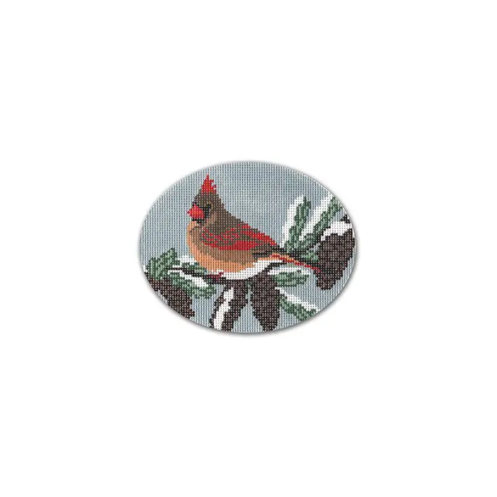 A red cardinal perched on a pine cone in Cecilia.