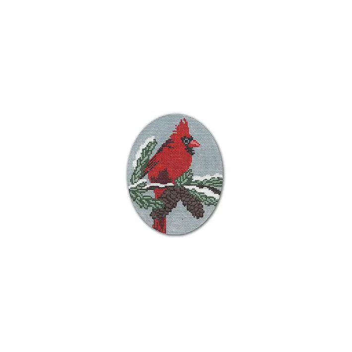 A red cardinal sitting on a pine branch in the presence of Cecilia Ohm.