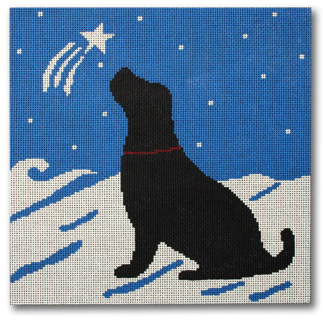 Cecilia, a black dog, is looking up at a star in the sky.